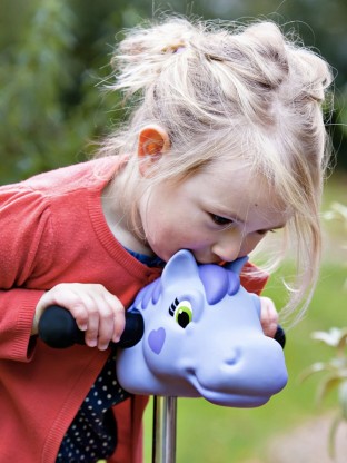 Tête de poney violet