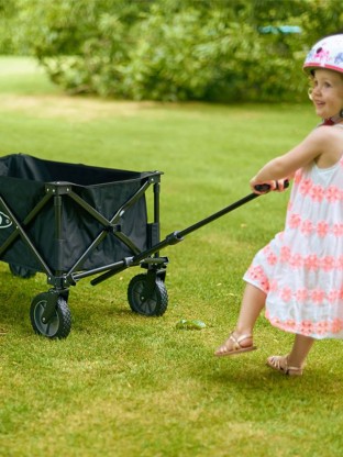 Micro Beach Wagon 