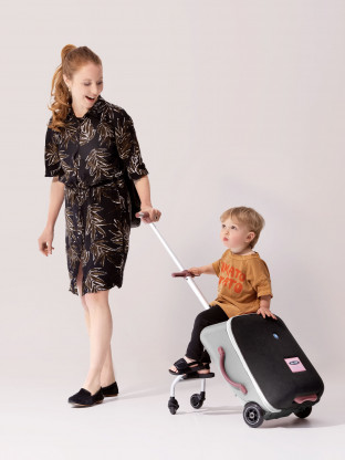 Micro Luggage Eazy Rose 