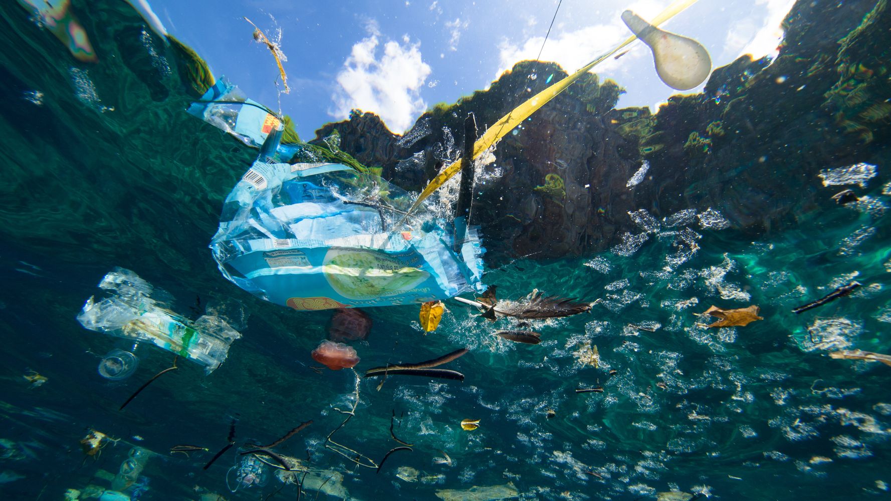 Photo de déchets plastiques dans les océans 