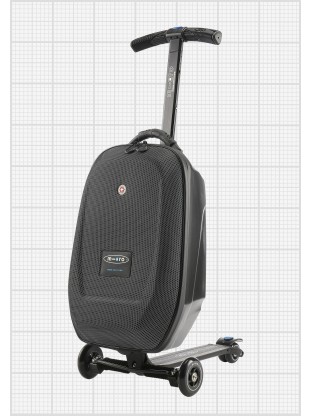 micro-luggage.jpg